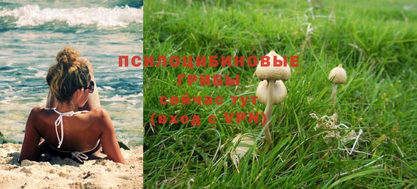 стафф Алексин