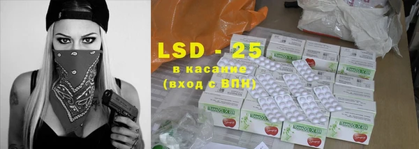 стафф Алексин