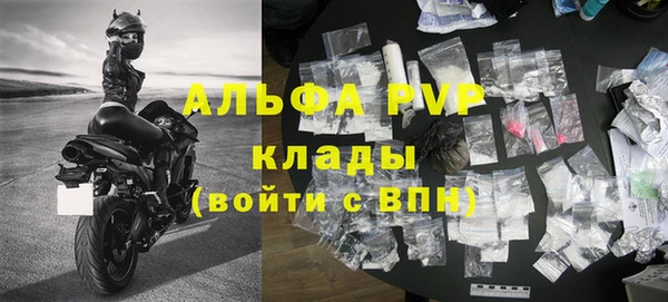 стафф Алексин