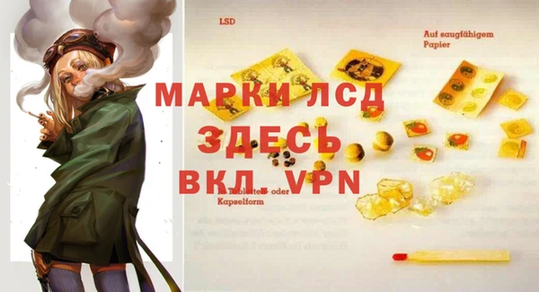 стафф Алексин
